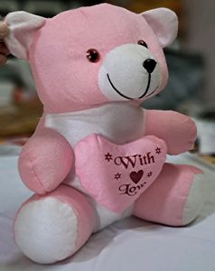 Soft TOY Pink TEDDY 🐻