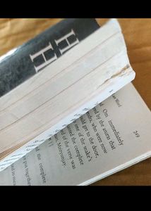 Combo Of The Big Book Essay And Hidden hindu Prt-3