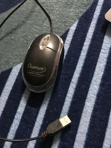 Quantum Mouse