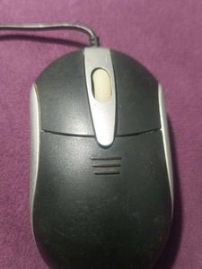 computer  mouse