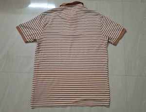 (Size~XL)Brown and white striped polo t-shirt🍋‍🟩
