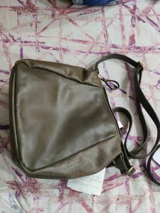 Baggit Brown Bag