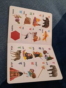 HINDI VARNAMALA board Book