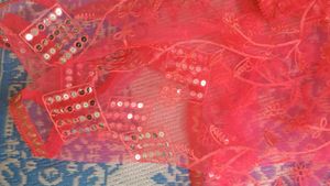 Coral Sequin Embellished Dupatta