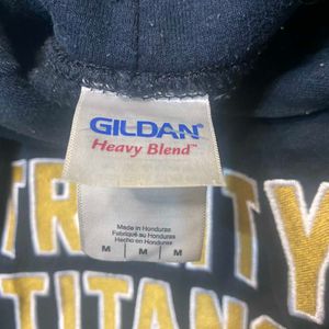 Vintage TRINITY TITANS Hoodie by GILDAN