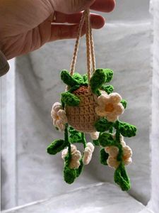 Crochet Flower Hanging Plant