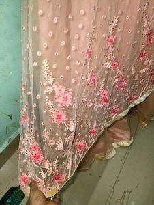 Beutiful Peach Gown