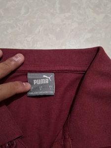 Puma Maroon Polo Shirt