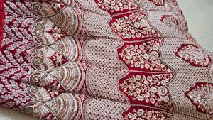 Gorgeous Red Embroidered Lehenga Choli bridal leha