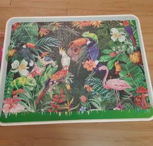 1000 Pieces Tropical Puzzle Toy For Kids N Adults