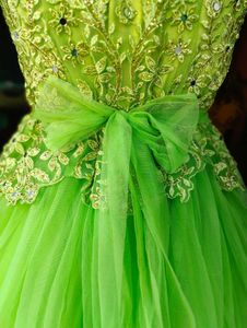 Elegant Green Ethnic Ball Gown