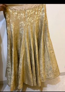 Golden Skirt Free Size