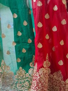 Green-Red Party Saree with Blouse (36)