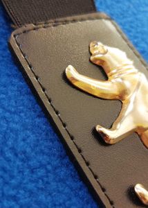 Black  Belt / Gold Cat