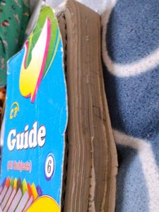 6th Class Guide (C.P)  All Subjects