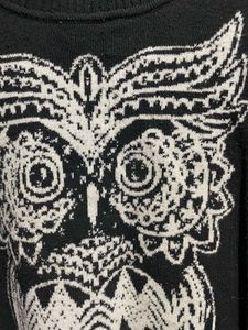 Owl Graphic Long Sleeve Sweatr