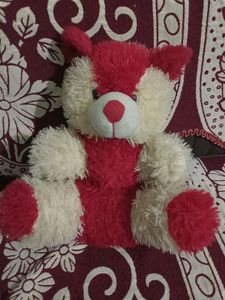 Cute Teddy