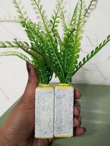 Decorative Ferns in glass Stone Vases (Set of 2)