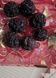 7 Original Nepali Rudraksha