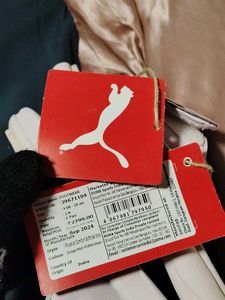 Silver Pink Puma Slidder Limited Offer Price Drop