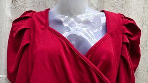 Chic Red Puff Sleeve Top