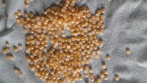 Peach Round Stones Freebie Stone🎁