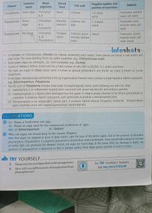 MTG 100 Percent Biology CBSE Class 11