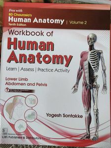 Human Anatomy Vol. 2 with free workbook