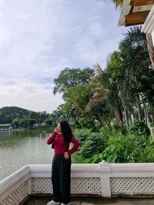 Offshoulder Chic Top