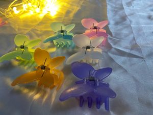 Butterfly Clip Combo Pack Of 5 Pcs