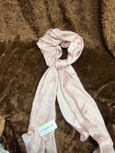 Dior Scarf