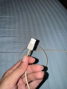 Apple Charging Cable