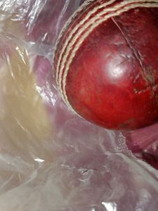 Cricket SG Leather Ball