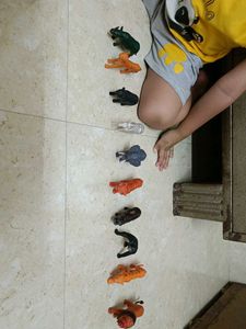 Animal Figure Set