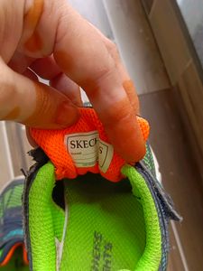 Combo Of 2 Sketchers Shoes