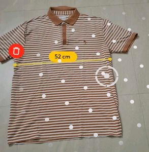 (Size~XL)Brown and white striped polo t-shirt🍋‍🟩
