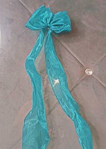 Teal Decorative Bow with Ribbons