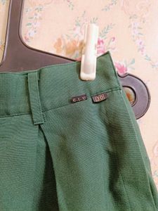 Green Pleated Skirt