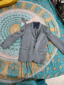 Grey Blazzar New