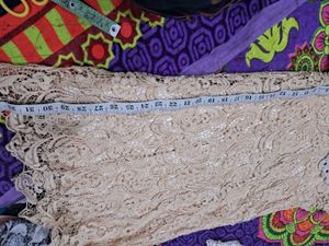 Elegant Lace Peter Pan Collar Dress