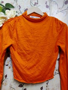 Turtleneck Long Sleeve Zara Crop Top