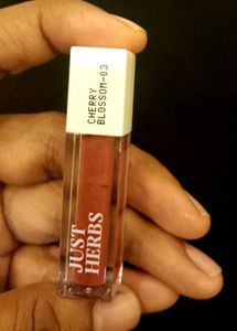 Combo Of 4 Lip Gloss Shades