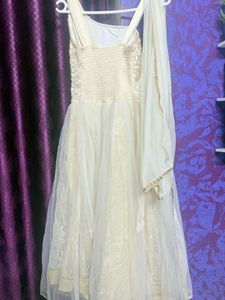 Elegant Ethnic Gown