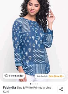 Fabindia Indigo Short Kurti