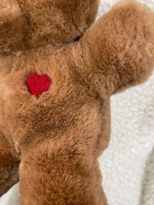Cute Fluffy Teddy Bear 🧸