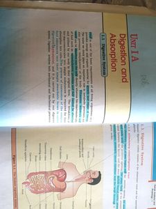 TS Intermediate Second Year Zoology Textbook.