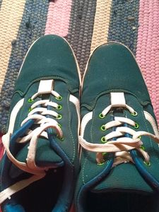 Mens Green Colour Casual Shoes