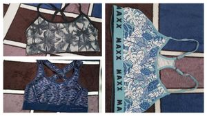 Combo Of 3 Bras
