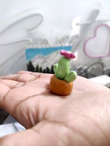 Mini Cactus Plant