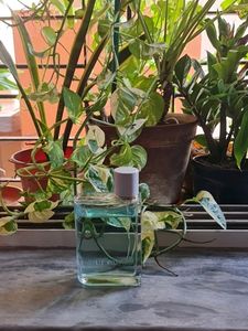 Burberry Her EDT